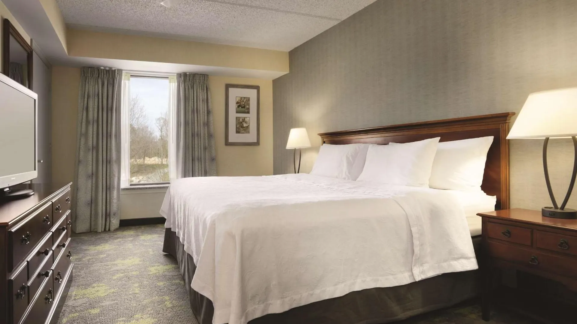 Homewood Suites Williamsburg 3*,  United States