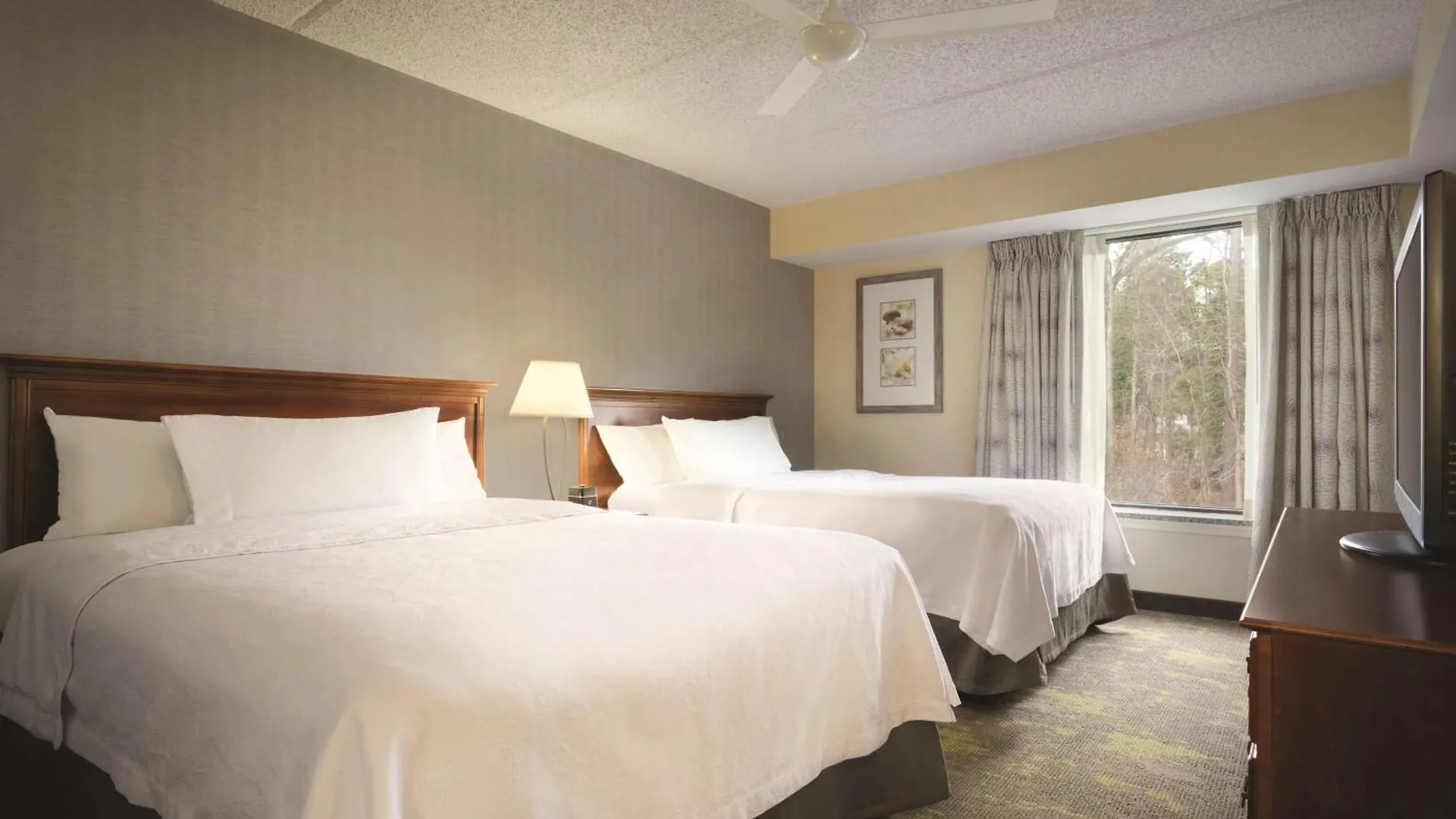 Homewood Suites Williamsburg Hotel